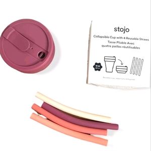 Sojo Collapsible Cup With Straws 12oz